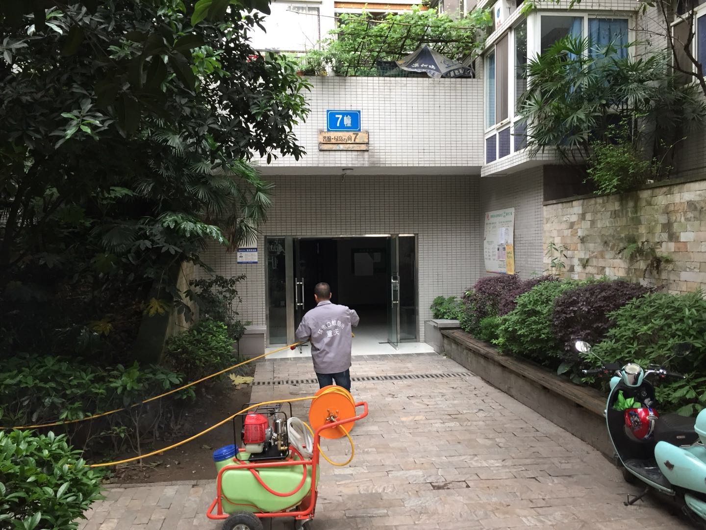 害蟲(chóng)防控現(xiàn)場(chǎng)