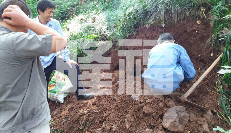 白蟻防治現(xiàn)場(chǎng)